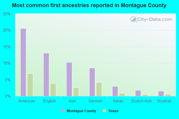 Most common first ancestries reported in Montague County