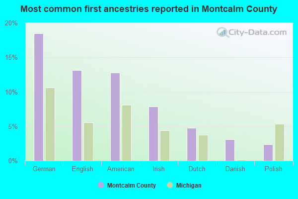Most common first ancestries reported in Montcalm County