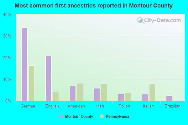 Most common first ancestries reported in Montour County