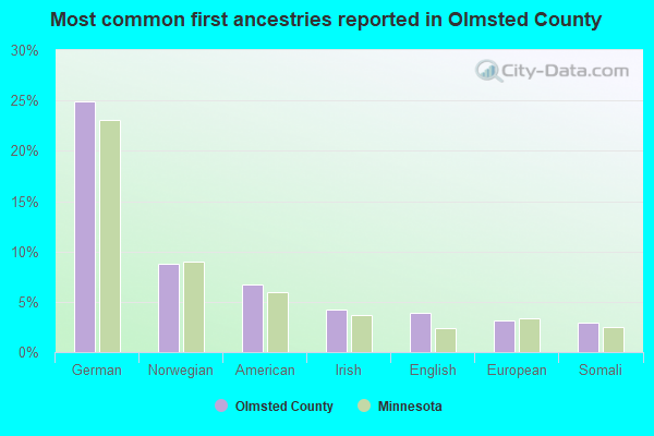 Most common first ancestries reported in Olmsted County