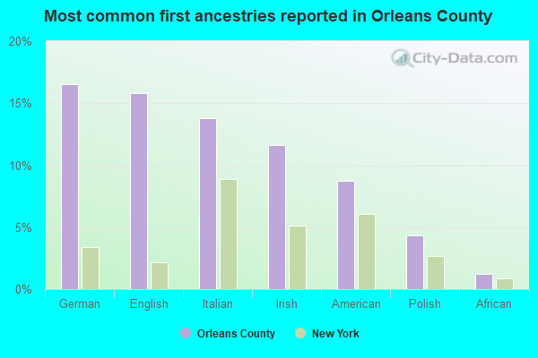 Most common first ancestries reported in Orleans County