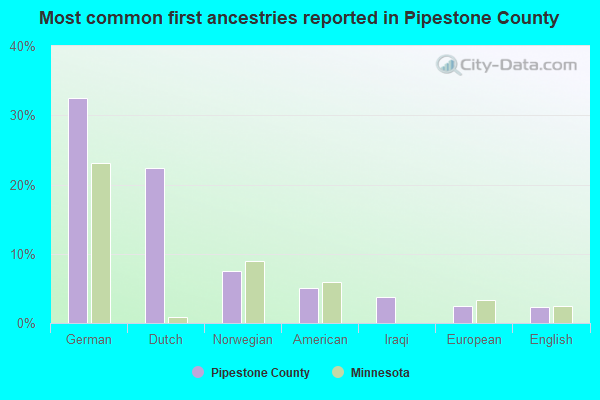 Most common first ancestries reported in Pipestone County