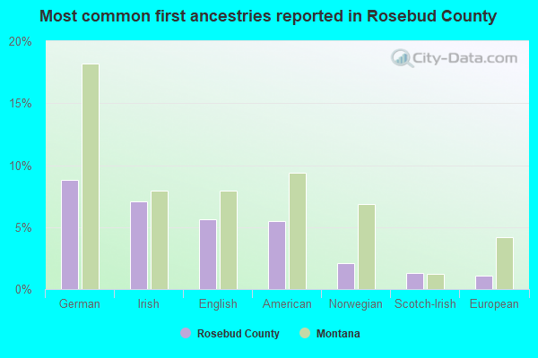 Most common first ancestries reported in Rosebud County