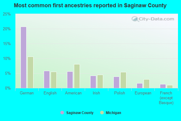 Most common first ancestries reported in Saginaw County