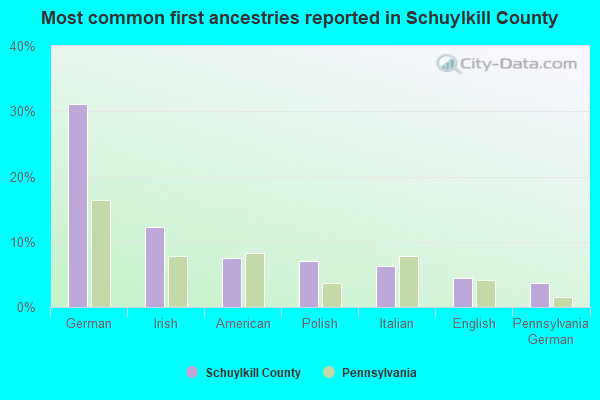 Most common first ancestries reported in Schuylkill County