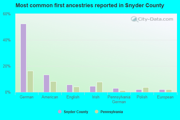 Most common first ancestries reported in Snyder County