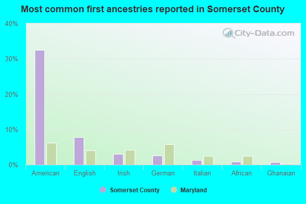 Most common first ancestries reported in Somerset County