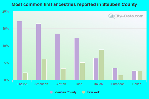 Most common first ancestries reported in Steuben County