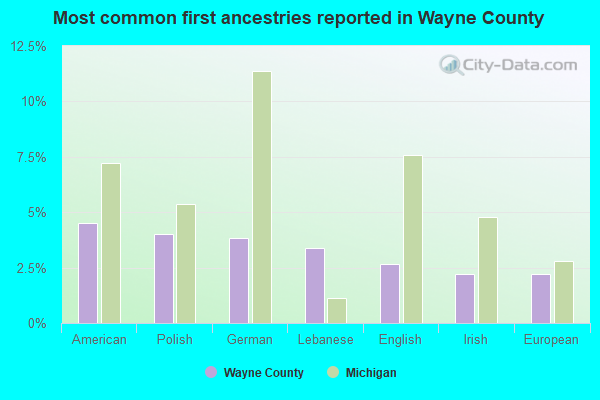 Most common first ancestries reported in Wayne County
