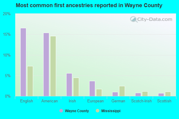 Most common first ancestries reported in Wayne County