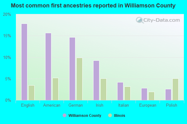 Most common first ancestries reported in Williamson County