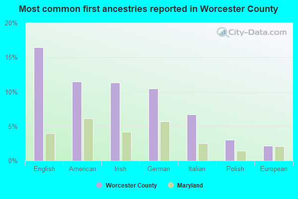 Most common first ancestries reported in Worcester County