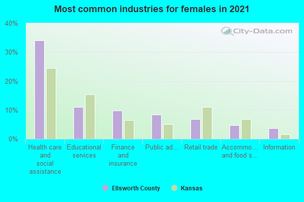 Most common industries for females in 2022