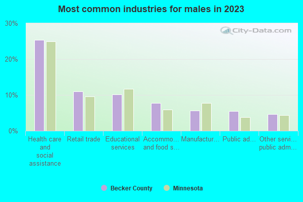 Most common industries for males in 2022