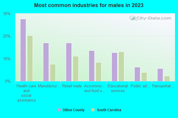 Most common industries for males in 2021