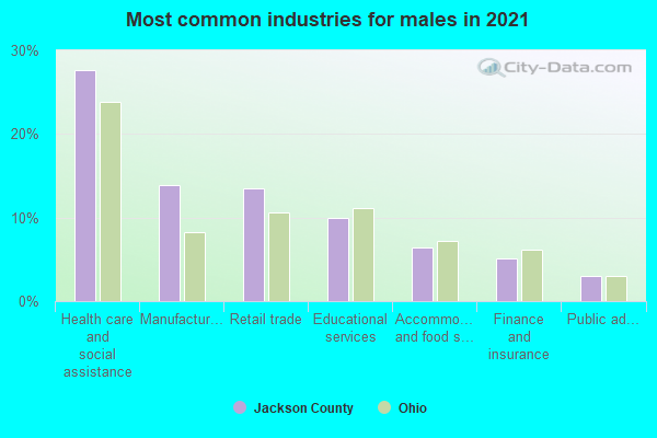 Most common industries for males in 2019