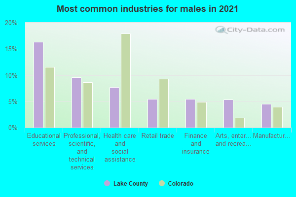 Most common industries for males in 2022