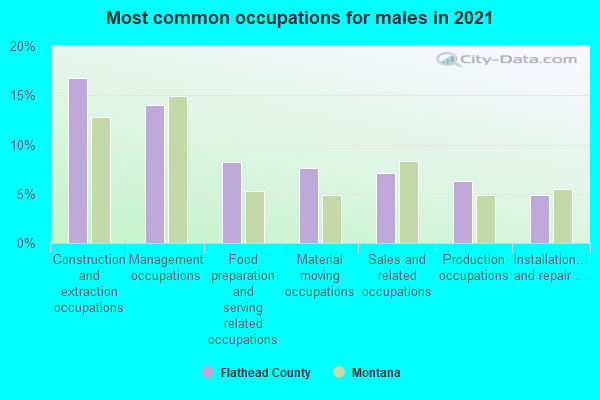 Most common occupations for males in 2022