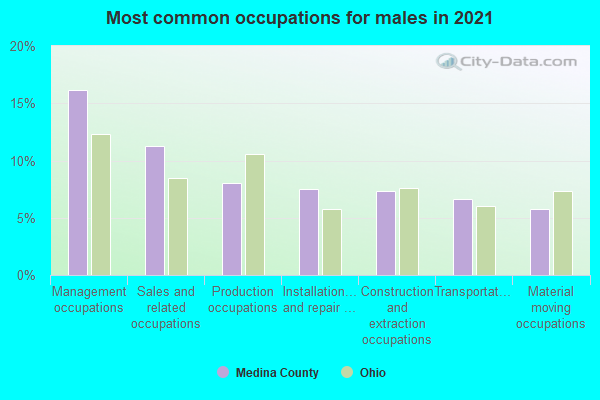 Most common occupations for males in 2019