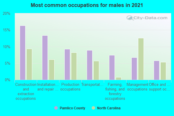 Most common occupations for males in 2022