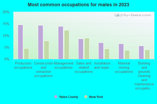 Most common occupations for males in 2021