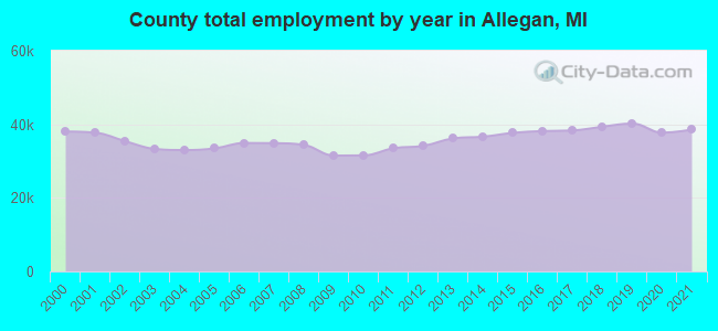 County total employment by year in Allegan, MI