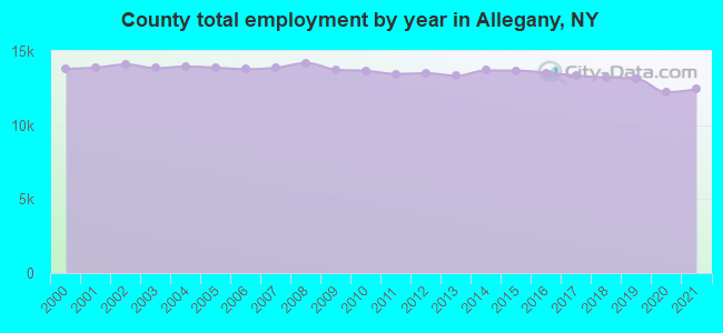 County total employment by year in Allegany, NY