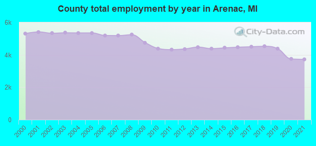 County total employment by year in Arenac, MI