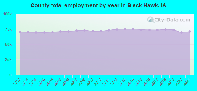 County total employment by year in Black Hawk, IA