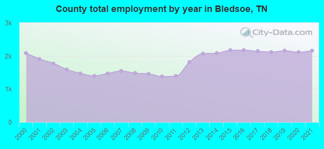 County total employment by year in Bledsoe, TN