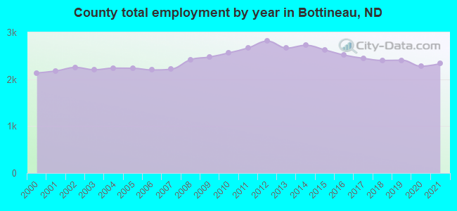County total employment by year in Bottineau, ND