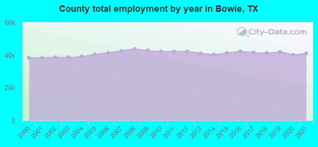 County total employment by year in Bowie, TX