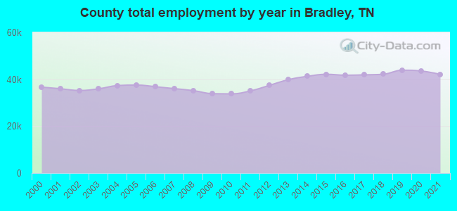 County total employment by year in Bradley, TN