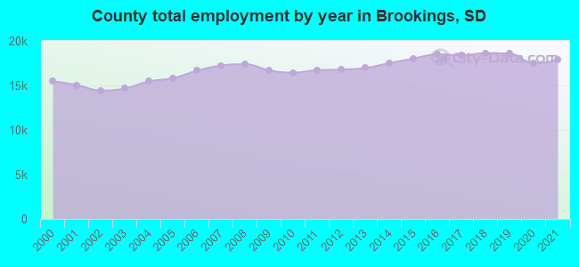 County total employment by year in Brookings, SD