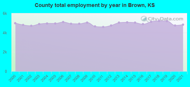 County total employment by year in Brown, KS
