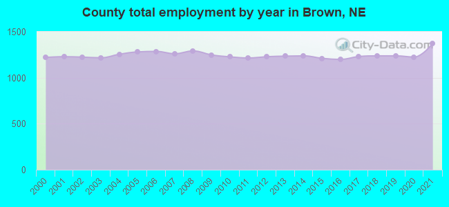 County total employment by year in Brown, NE