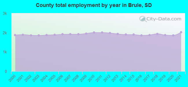 County total employment by year in Brule, SD