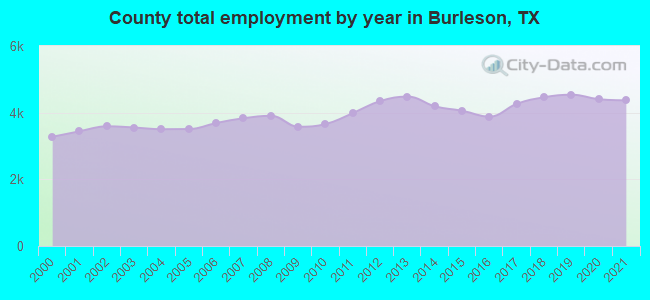 County total employment by year in Burleson, TX