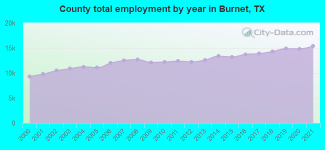 County total employment by year in Burnet, TX