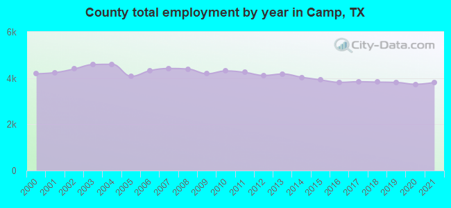 County total employment by year in Camp, TX
