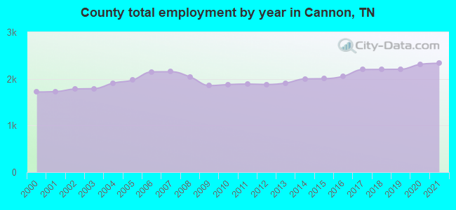 County total employment by year in Cannon, TN