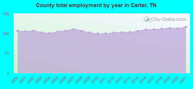 County total employment by year in Carter, TN