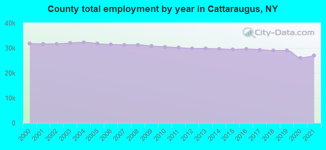 County total employment by year in Cattaraugus, NY