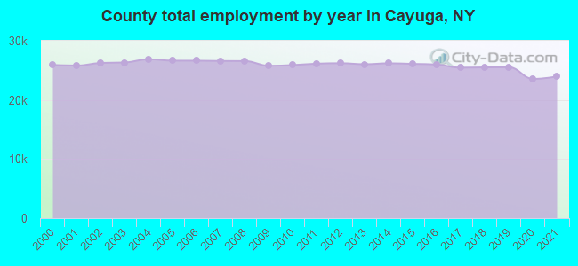 County total employment by year in Cayuga, NY