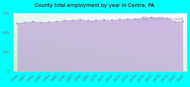County total employment by year in Centre, PA