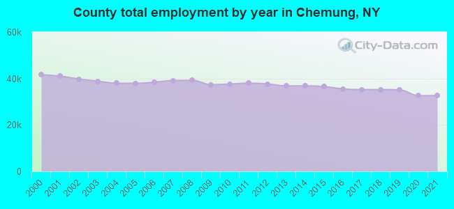 County total employment by year in Chemung, NY