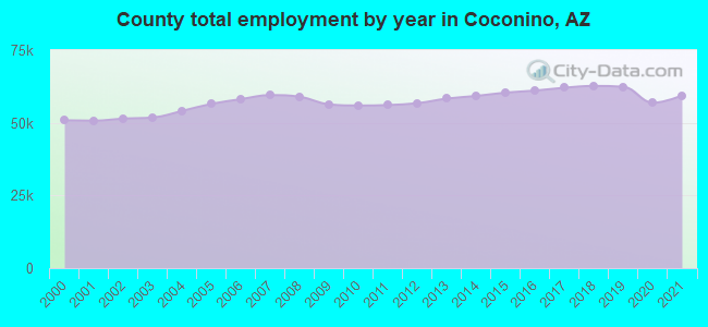 County total employment by year in Coconino, AZ