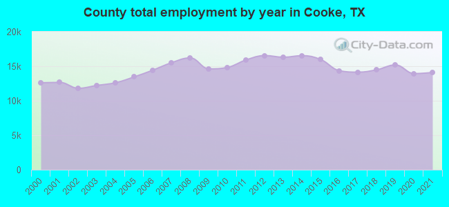 County total employment by year in Cooke, TX
