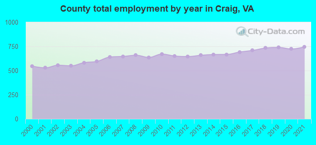 County total employment by year in Craig, VA
