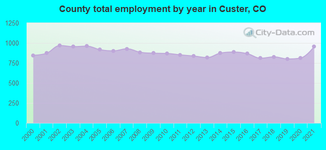 County total employment by year in Custer, CO